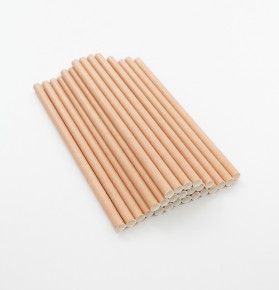 Sargılı Kraft Kağıt Pipet 8x200mm  Koli İçi Adet 2400