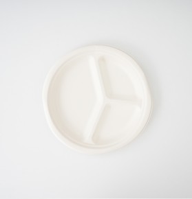 %100 Doğal Şeker Kamışından Üretilmiş Ekolojik 3 Bölmeli 10 İnç 26 cm Tabak  (10 Adet)